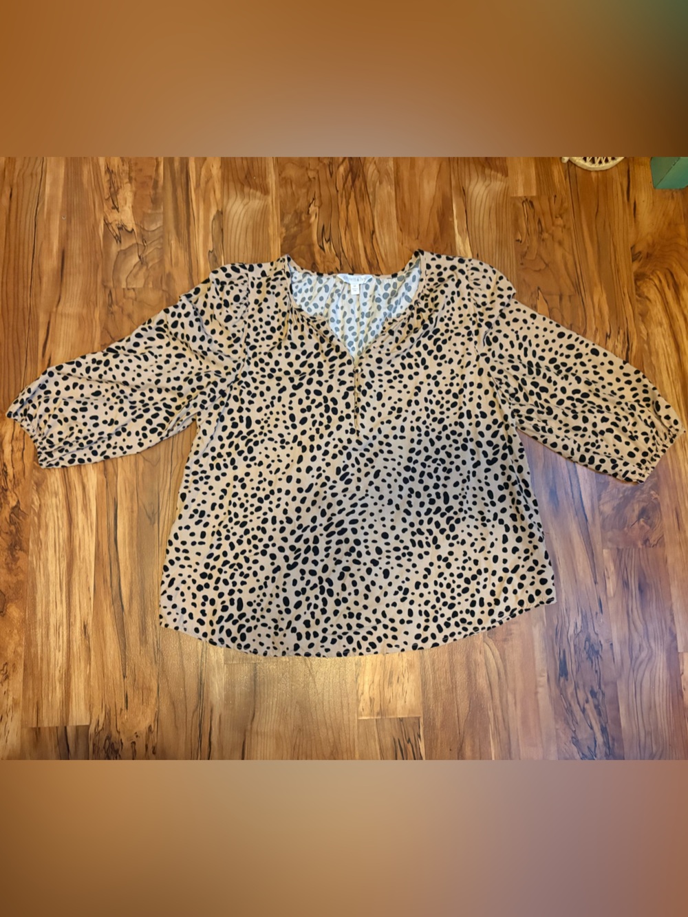 crown & ivy Beige Blouse with Black Spot Print